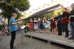 Fête de la musique 2017, Foto: Privat